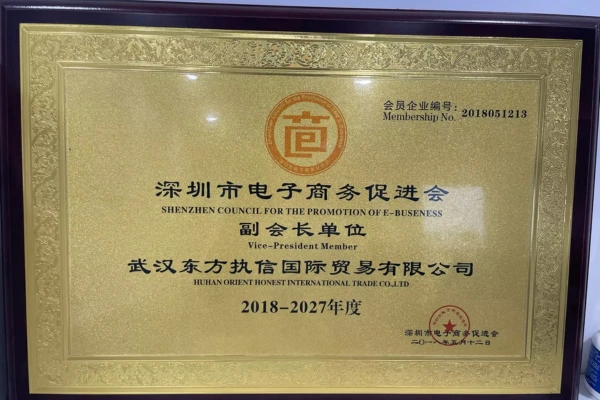 Vice President member of Shenzhen E-Commerce Promotion Association