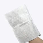 Disposable Wash Mitts For Shower