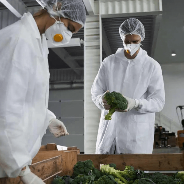 disposable lab coat for food factory